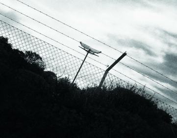 9FEC3286-37D1-4729-9953-15F65EDD1366