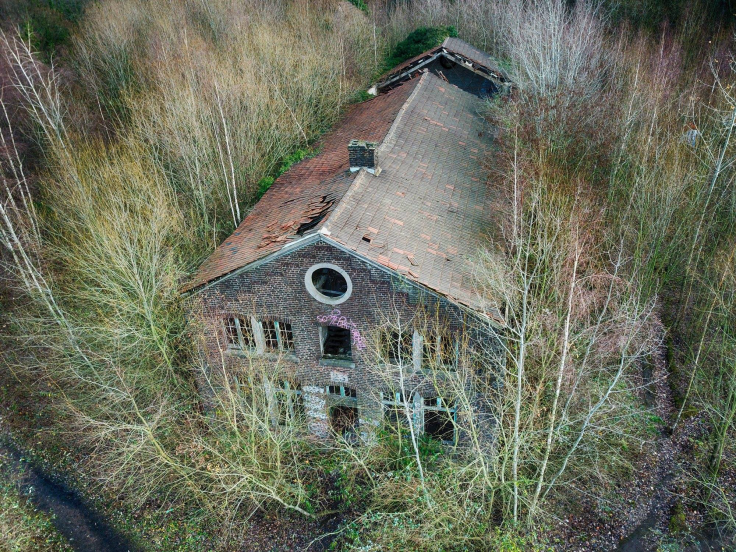 48384820_2168676306505491_5494005470781767680_o