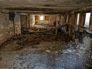 49077067_2188871231152665_5593740267866816512_o