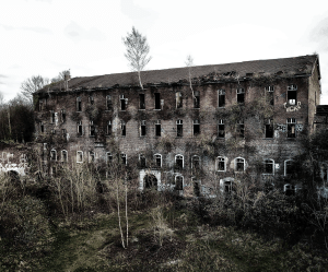 50787688_2218659244840530_5870097507576446976_o